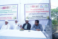 Demonstration of commercial silage production