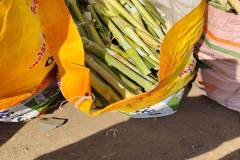 Godwad-Fooder-Gallery-43