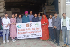 godwad-fodder-3